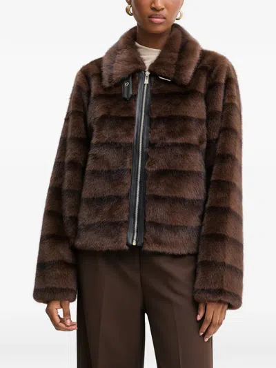 Morgan Buckle Zip Jacket In Brown
