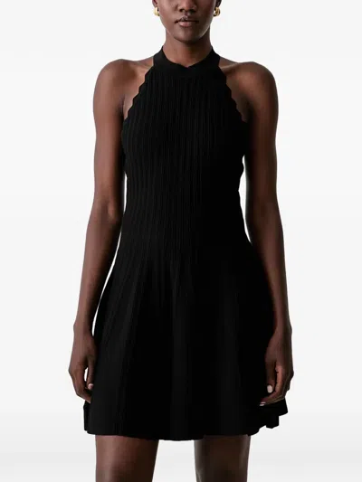 Morgan Scalloped-edge Ribbed-knit Mini Dress In Black