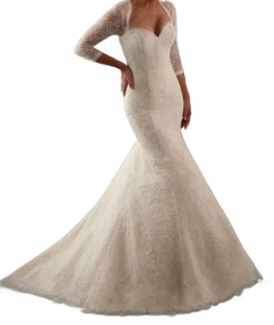 Morilee Lace Fit And Flate Dress In Ivory In Multi
