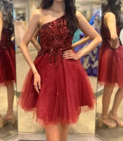 Morilee One-shoulder Tulle Dress In Sangria In Red