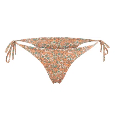 Morrato Bali Women's Brown Rhea Bikini Bottom Arabella Butterum