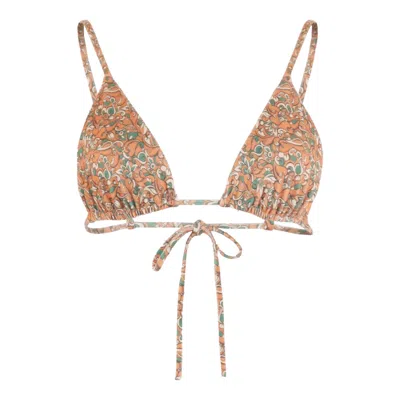 Morrato Bali Women's Brown Rhea Bikini Top Arabella Butterum