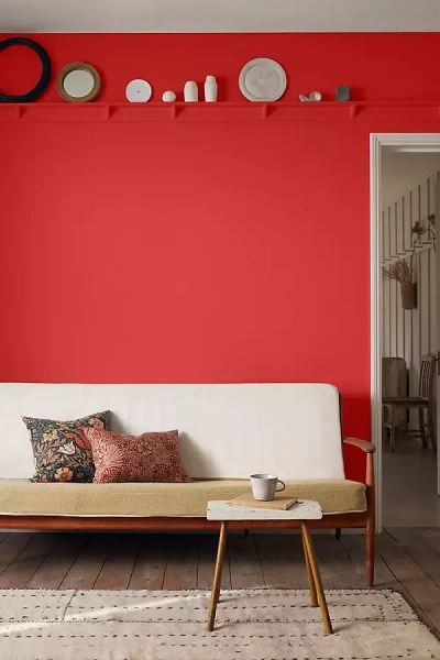 Morris & Co. Matte Paint In Orange