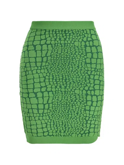 Pre-owned Moschino 2000-2010s Cheap And Chic Animal-pattern Skirt In Green