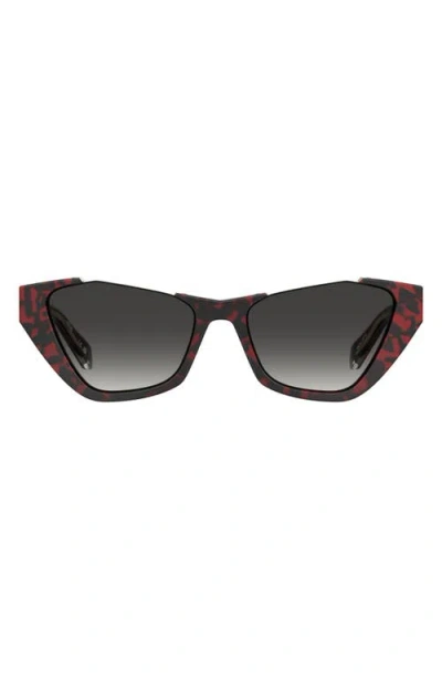 Moschino 53mm Cat Eye Sunglasses In Brown