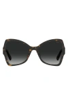 Moschino 54mm Butterfly Sunglasses In Brown