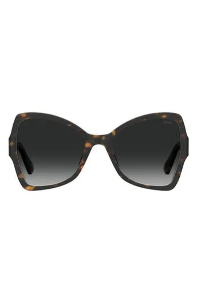 Moschino 54mm Butterfly Sunglasses In Brown