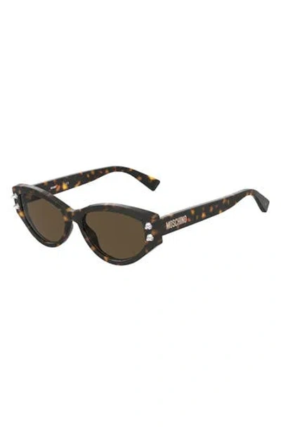 Moschino 55mm Cat Eye Sunglasses In Havana