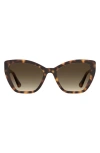 Moschino 55mm Gradient Cat Eye Sunglasses In Havana