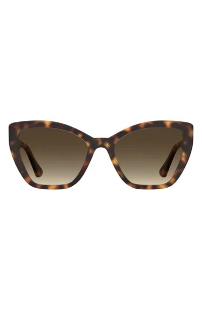 Moschino 55mm Gradient Cat Eye Sunglasses In Havana