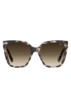 Moschino 55mm Gradient Cat Eye Sunglasses In Pink Havana