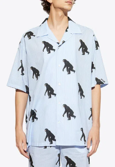 Moschino Al-over Chimpanzee Striped Shirt In Light Blue