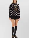 Moschino Bear Design Knitwear Polka Dots In Black