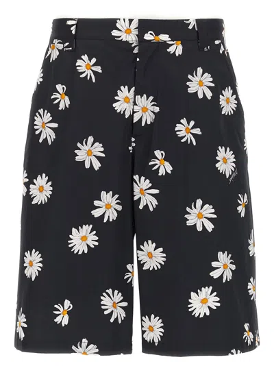 MOSCHINO BERMUDA DAISY