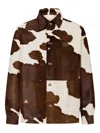 Moschino Cow-print Button-up Jacket In Brown