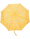Moschino Daisy-print Umbrella In 黄色