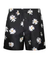 Moschino Daisy Printed Bermuda Shorts In Black