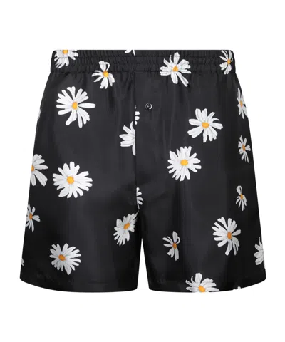 Moschino Daisy Printed Bermuda Shorts In Black