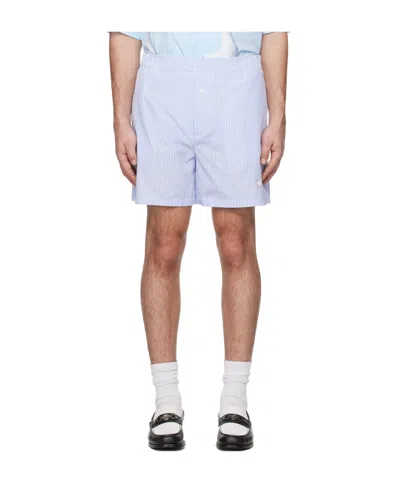 Moschino Goose Embroidery Striped Poplin Shorts In Blue