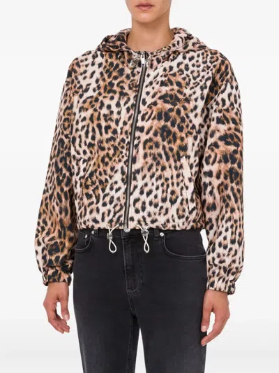Moschino Hooded Leopard-print Cropped Jacket In Multi