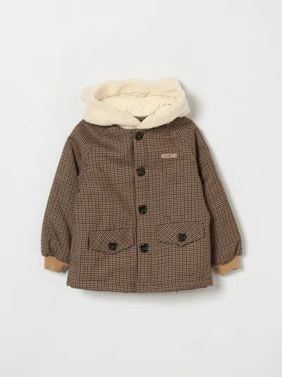 Moschino Babies'  Jacket Kids Color Brown