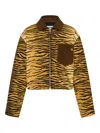 Moschino Printed Cotton Gabardine Jacket In Brown