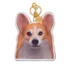 Moschino Keyrings In Burgundy
