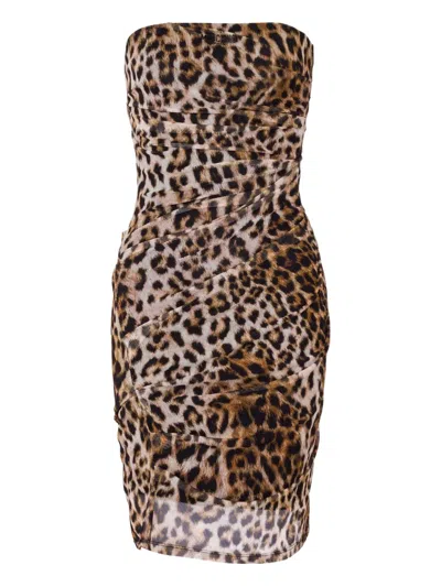 Moschino Leopard-print Strapless Mini Dress In Animal Print