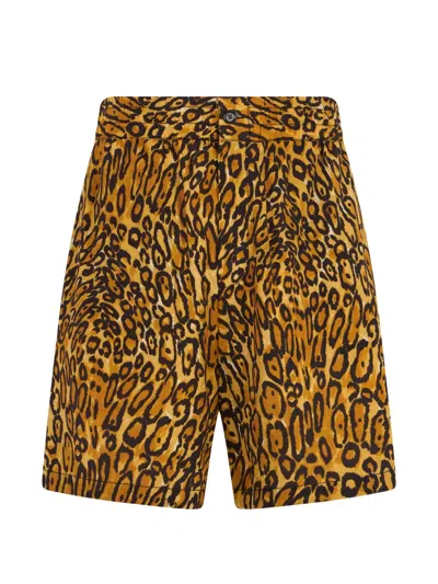 Moschino Leopard-print Shorts In Gold