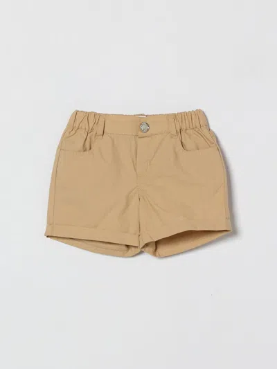 Moschino Babies' ショートパンツ  ボーイ カラー クリーム In Brown