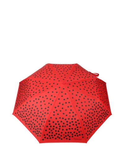 Moschino Polka Dot Umbrella In Red