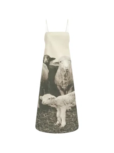 Moschino Printed Cotton Gabardine Dress In Multi