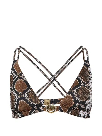 Moschino Snake-print Bikini Top In Animal Print