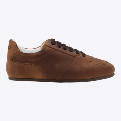 Moschino Sneakers Nut In Brown