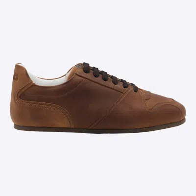 Moschino Sneakers Nut In Brown