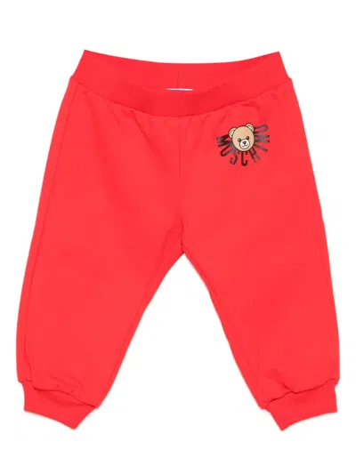 Moschino Babies' Teddy Bear-print Jersey Track Pants In Red