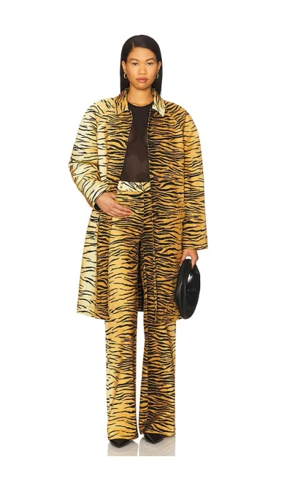 Moschino Tiger Stripes Long Jacket In Multi