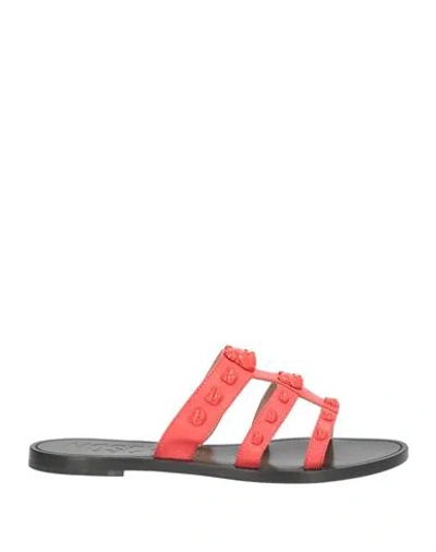 Moschino Woman Sandals Black Size 8 Calfskin