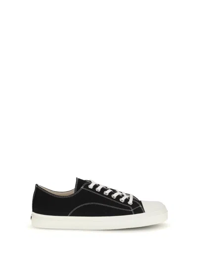 Moschino Women Canvas Sneakers In Black