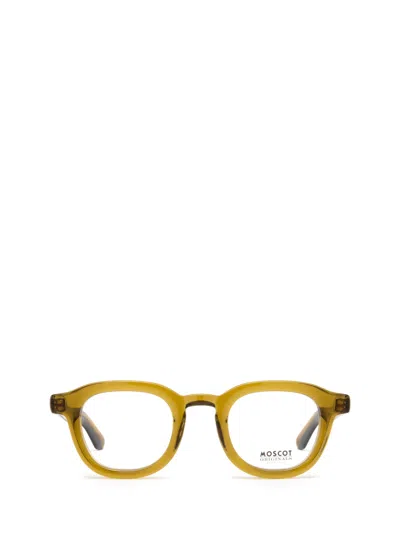 Moscot Dahven Olive Brown Glasses