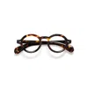 MOSCOT FOYGELCLASSIC HAVANA DE