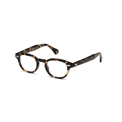 Moscot Lemtoshclassic Havana De In Brown