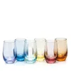 Moser Optic Shot Glass, Set Of 6 In Multi Color