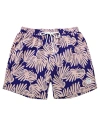 Mosmann Australia Board Shorts In Multi