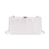 Most Wanted Women's Acrylic Clutch In White In White