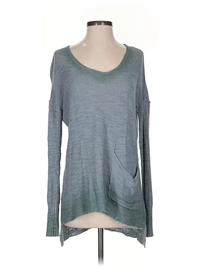 Pre-owned Moth Pullover Sweater In Blue