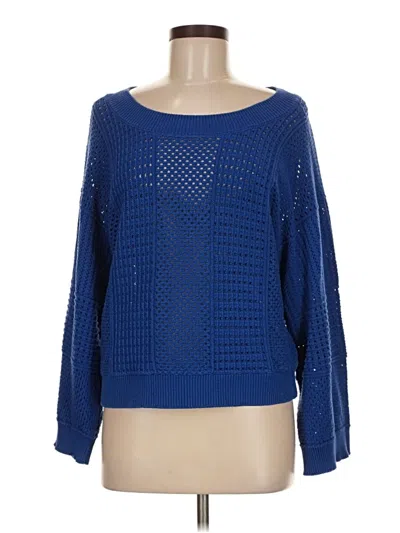 Pre-owned Moth Pullover Sweater In Blue