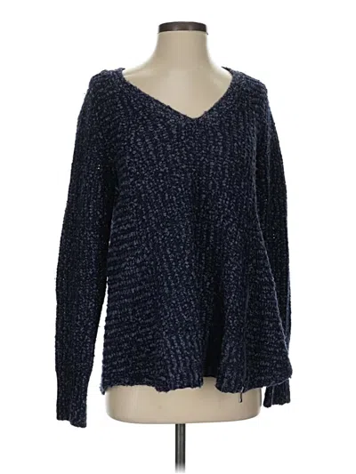 Pre-owned Moth Pullover Sweater In Blue