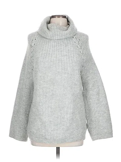 Pre-owned Moth Turtleneck Sweater In Gray