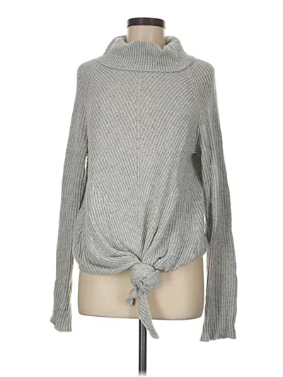 Pre-owned Moth Turtleneck Sweater In Gray
